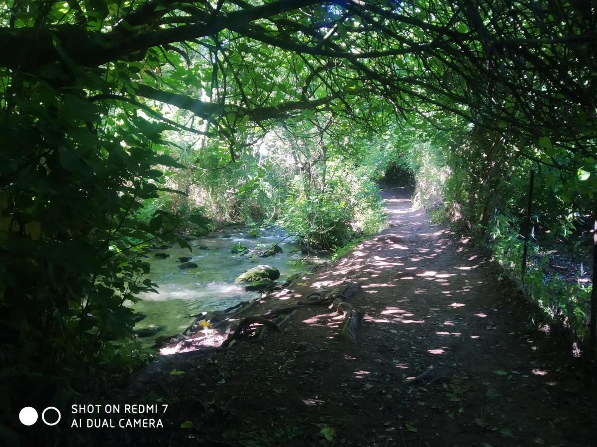 Alojamientos Sierra De Cadiz Benamahoma Exterior foto